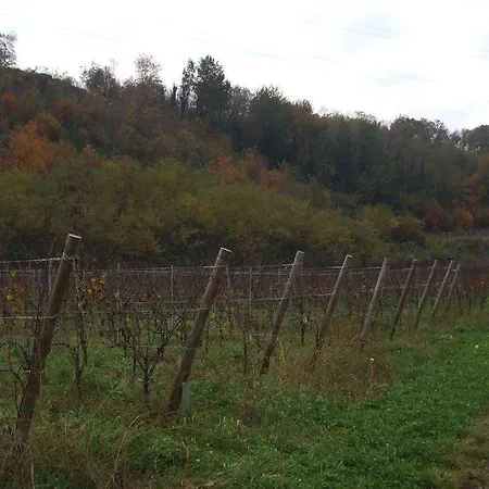 Cascina Rossano Farm stay Provaglio d'Iseo