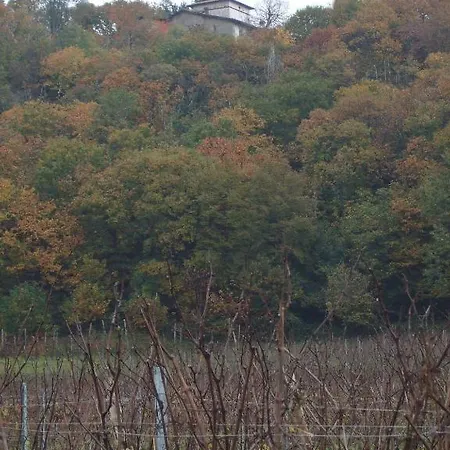 Farm stay Cascina Rossano *