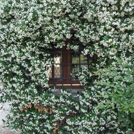 Alloggio per agriturismo Cascina Rossano Provaglio d'Iseo