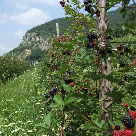 Alloggio per agriturismo Cascina Rossano *