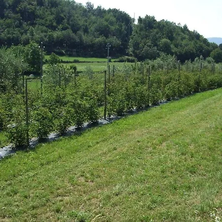 Cascina Rossano Farm stay Provaglio d'Iseo